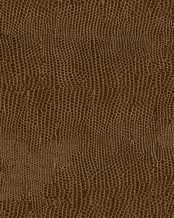 3D Interior Design Studies